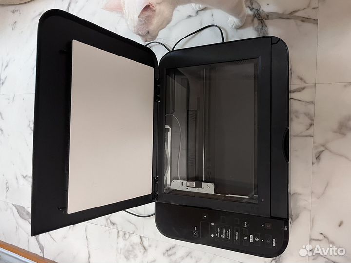 Принтер canon