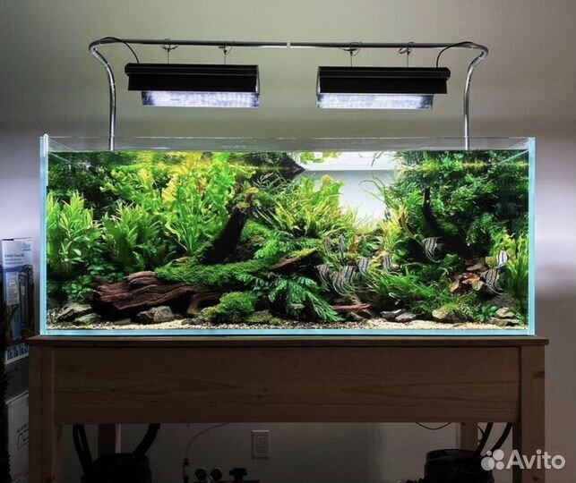 Обслуживание и запуск аквариумов