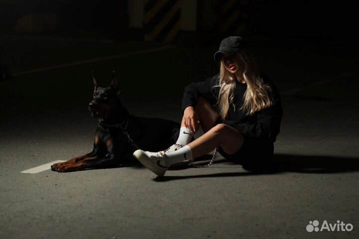 Доберман для фотосессии