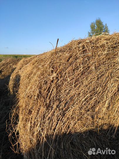 Сегодня в рулонах 350 кг