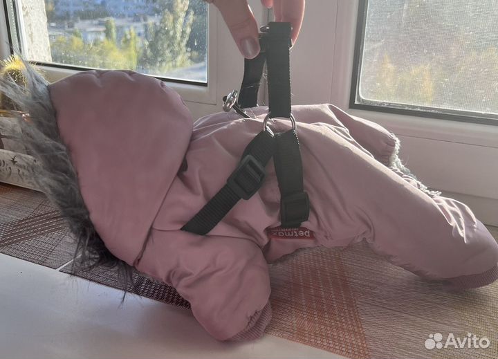 Зимний комбинезон для маленькой собаки