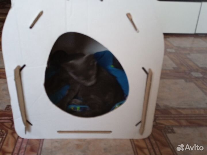 Домик для питомцев