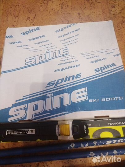 Лыжи, ботинки, палки, чехол