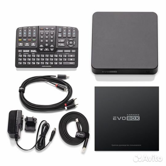 Караоке-система для дома evobox