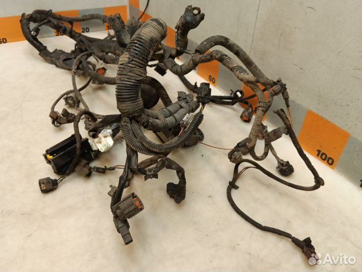 Проводка подкапотная Nissan Teana