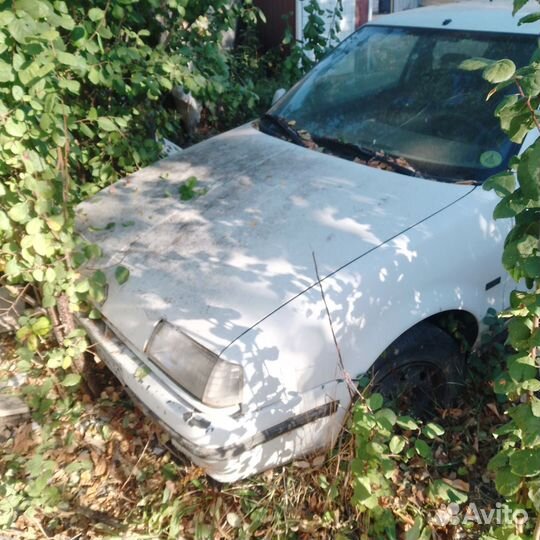 Рено 19 на запчасти