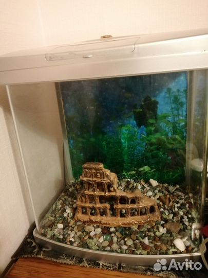 Аквариум