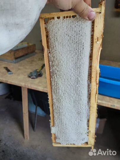 Мёд оптом гречиха с разнотравьем свежайший урожай