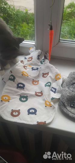 Одежда для маленькой собаки или для кошки