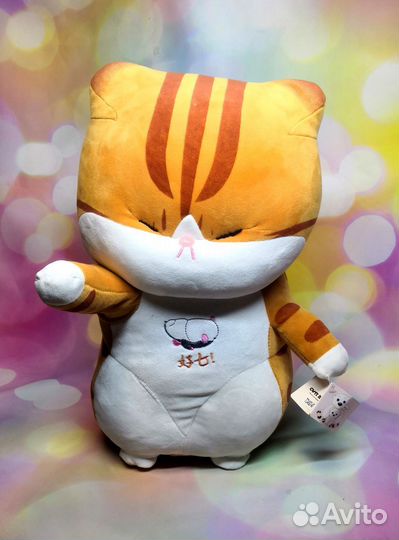 Рыжий китайский кот