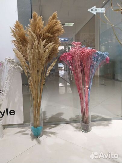 Сухоцветы, букеты из сухоцветов и вазочки разные