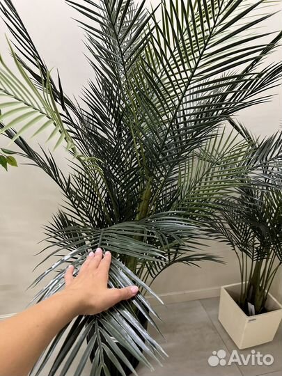 Искусственные растения пальмы новые