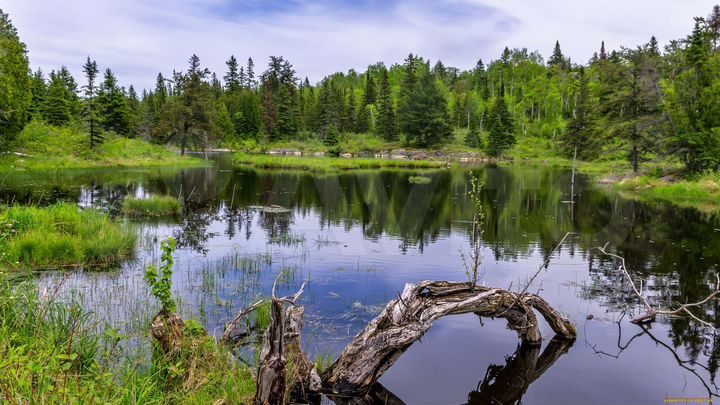 Участок 100 га (СНТ, ДНП)