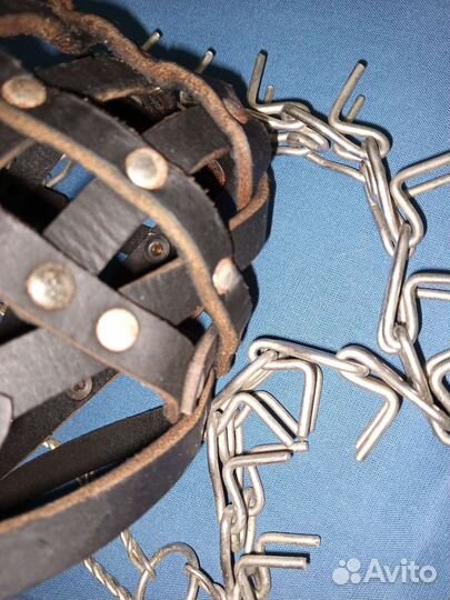 Амуниция для собак