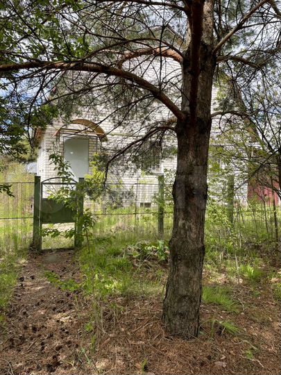 Участок 11 сот. (ИЖС)