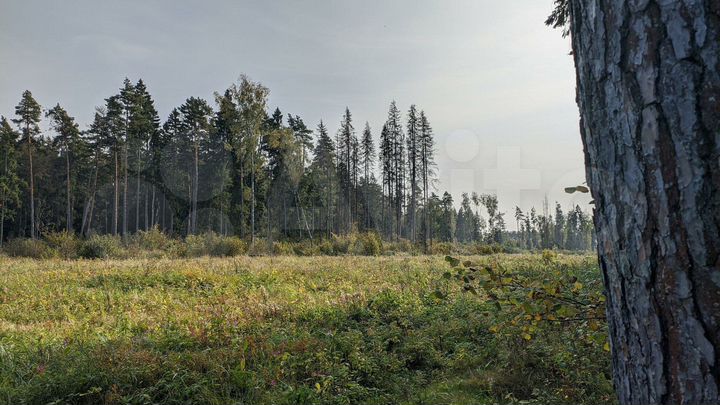 Участок 10 сот. (ИЖС)