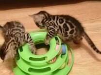 Вакансии уральск без опыта работы. Вакансии уральск без опыта работы. Вакансии уральск без опыта работы. Вакансии уральск без опыта работы. Вакансии уральск без опыта работы.