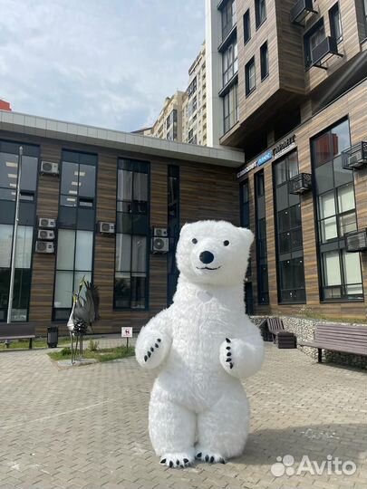 Поздравление от Мишки