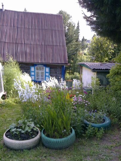 Дача 56 м² на участке 12 сот.