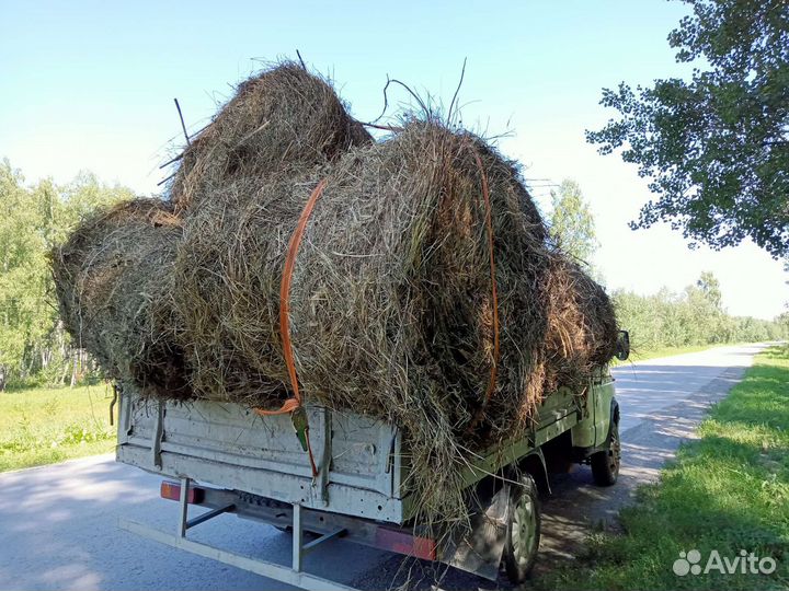 Сено в тюках