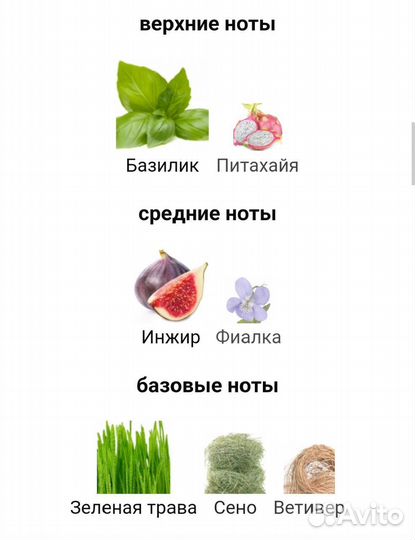 Парфюм Vilhelm Parfumerie - Basilico & Fellini