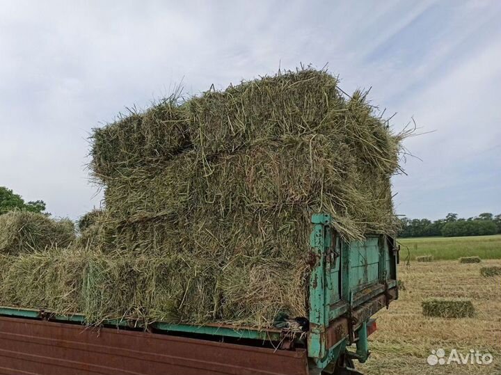 Сено в тюках разнотравие