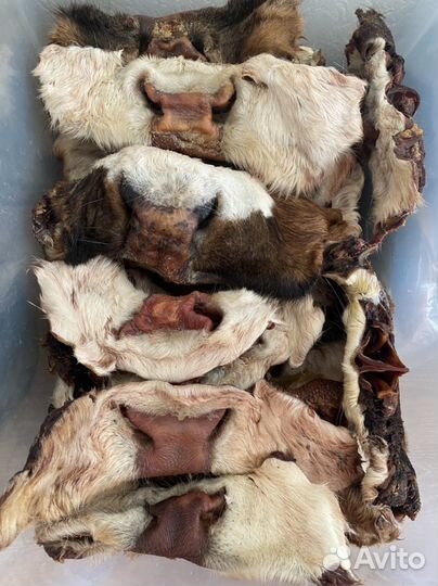 Сушеные лакомства для собак