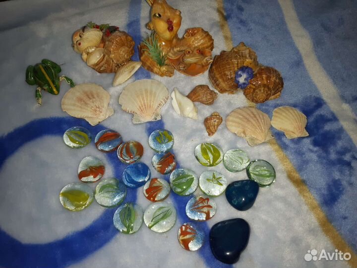 Морские ракушки раковины