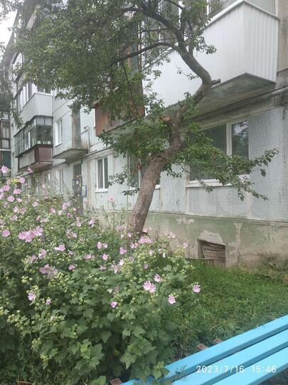 2-к. квартира, 48,1 м², 1/5 эт.