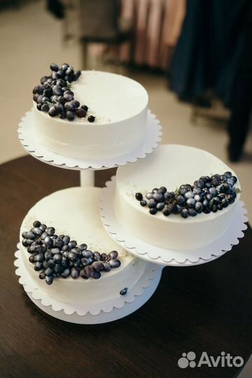 Зеркальные цифровые фотоаппараты nikon d3100