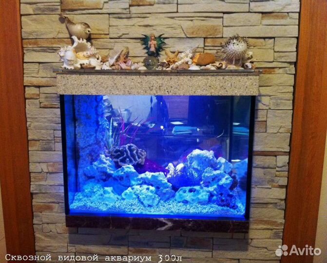 Обслуживание аквариумов