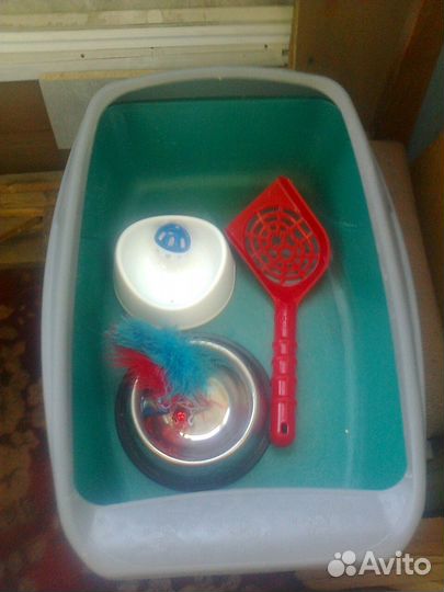 Кошачий набор