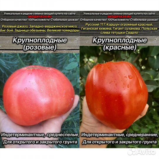 Помидоры и перцы семена