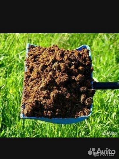 Конский навоз перегной в мешках чернозём