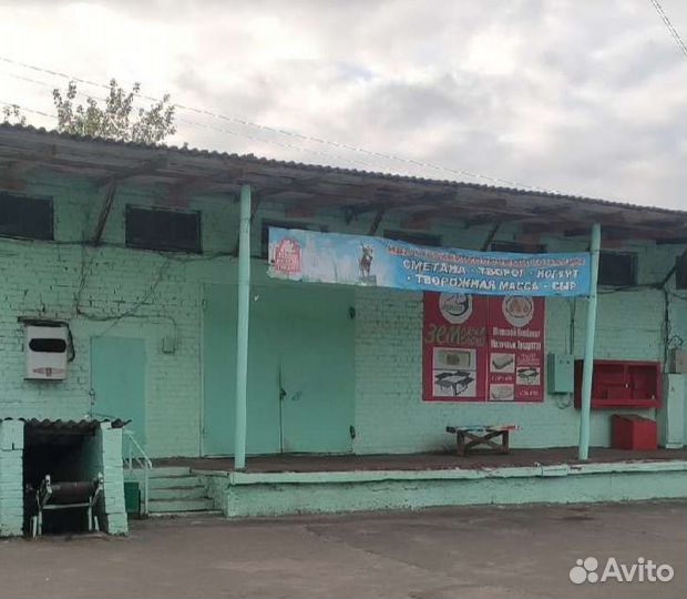 Масло, спред, творог, сметана, сыр (опт/розн)