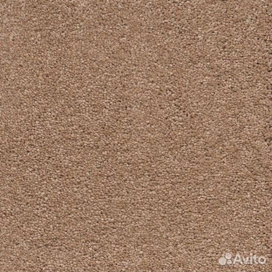 Ковролин AW Vivendi Punch 38