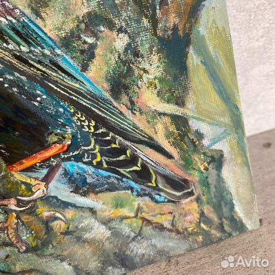 Картина Скворец. Птицы