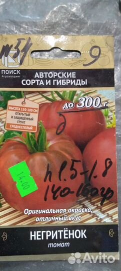 Рассада помидор