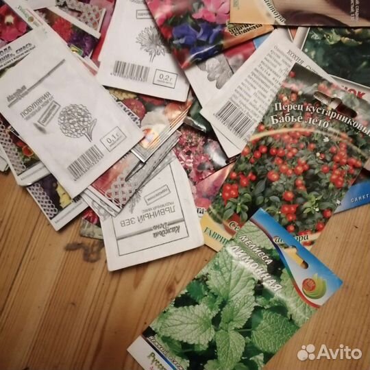 Семена 1 лотом