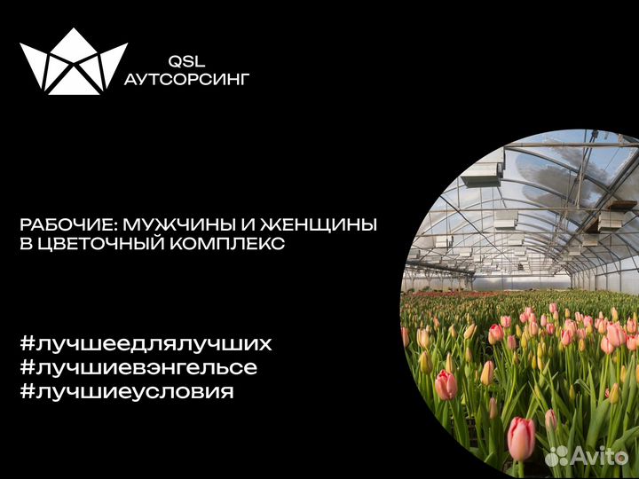 Рабочие В Цветочный Комплекс Подработка З/П Сразу