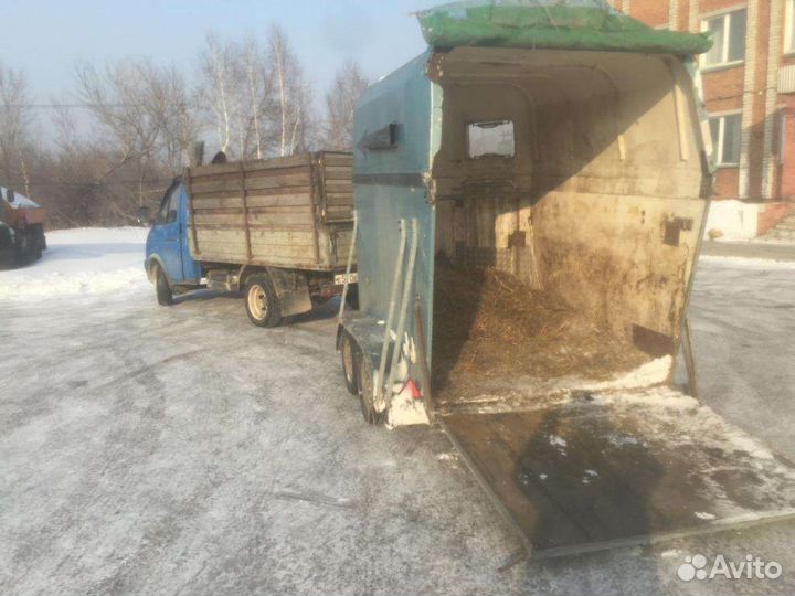 Перевозка крупно рогатого скота