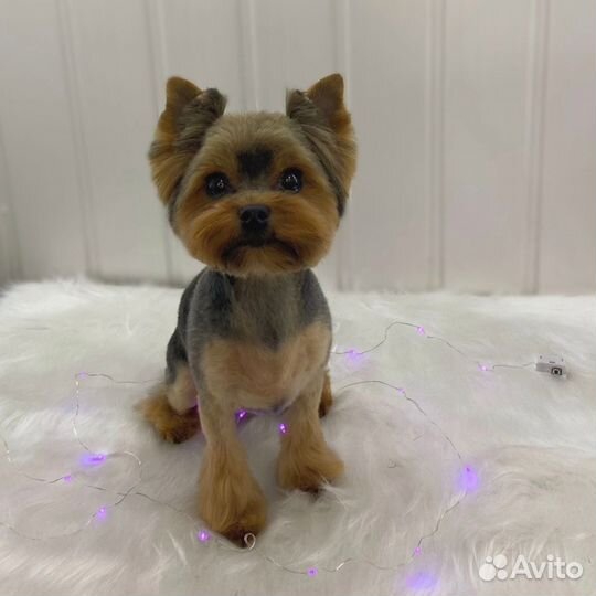 Груминг/стрижка собак и кошек