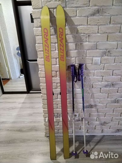 Горные лыжи