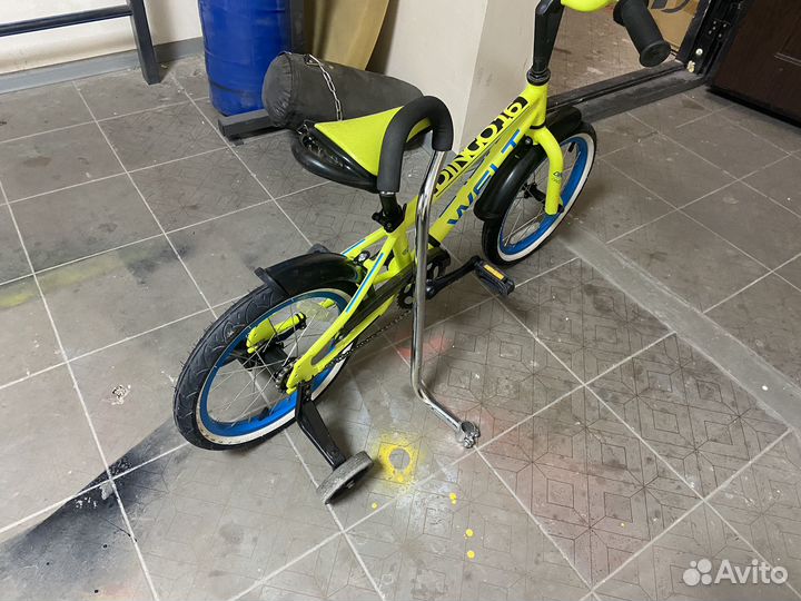 Велосипед детский Welt Dingo 16