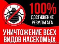 Обработка подвалов от насекомых в многоквартирном доме