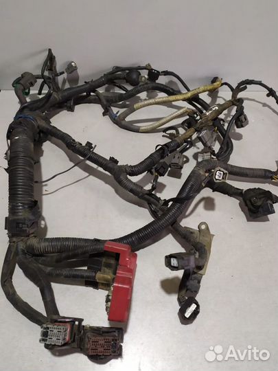 Проводка двигателя Nissan Qashqai 2008 2.0 л