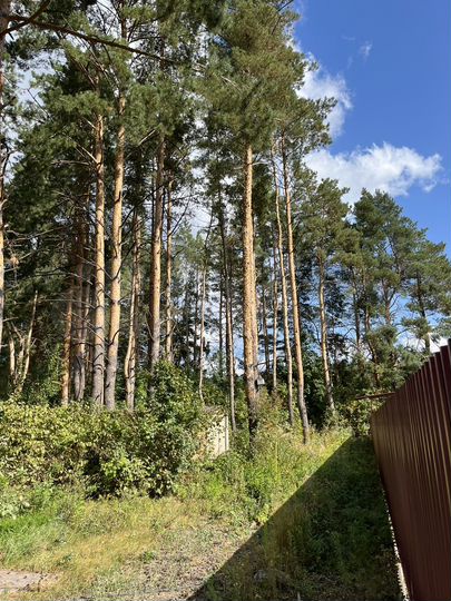 Участок 10 сот. (ИЖС)