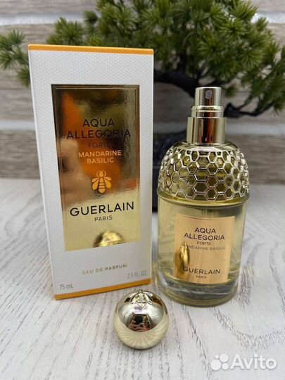 Guerlain aqua allegoria Forte Mandarin basilic