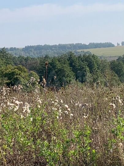 Участок 13 сот. (ИЖС)