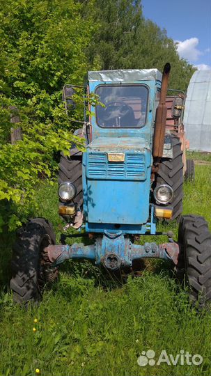 Трактор ЛТЗ Т-40АМ, 1983